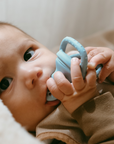 Sucette de dégustation pour bébé noüka - Feuille
