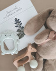 Jouet de dentition en silicone noüka - Roary le lion